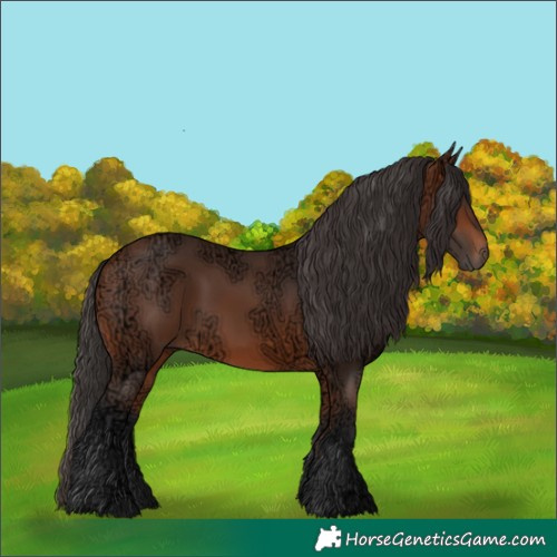 Horse Color:Bay Ice 