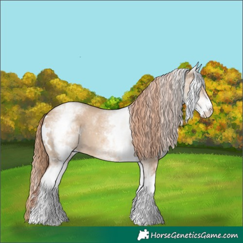 Horse Color:White Spotted Red Dun Rabicano 