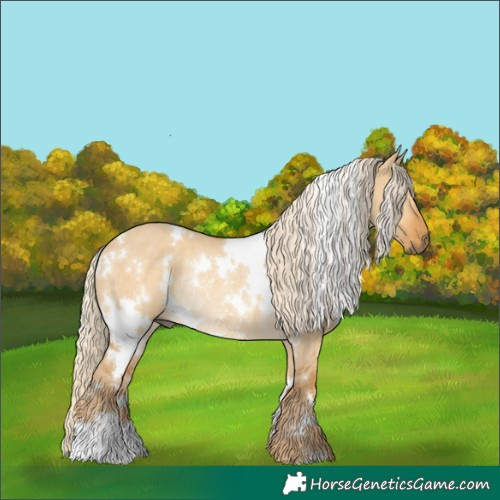 Horse Color:White Spotted Palomino Dun Rabicano 