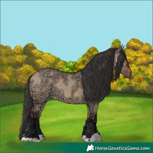 Horse Color:Bay Ice Dun Rabicano 