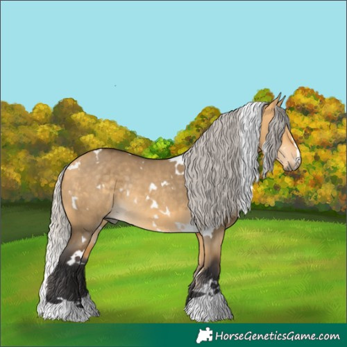 Horse Color:White Spotted Silver Buckskin Dun Rabicano 