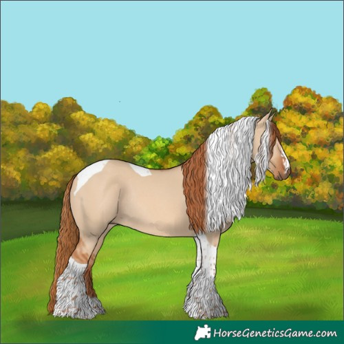 Horse Color:Red Dun Tobiano Rabicano 