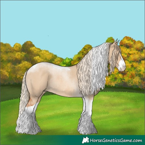 Horse Color:Red Dun Splash Tobiano Rabicano 