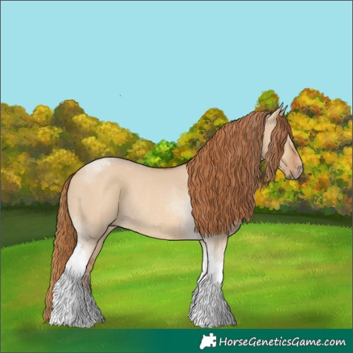 Horse Color:Red Dun Tobiano Rabicano 