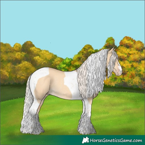 Horse Color:Gold Cream Champagne Dun Tobiano Rabicano 