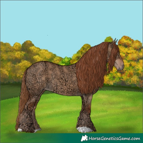 Horse Color:Red Dun Ice Rabicano 