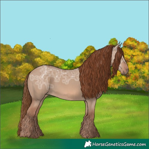 Horse Color:Red Dun Ice Rabicano 
