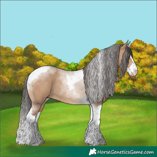 Horse Color:Bay Dun Splash Tobiano Rabicano 