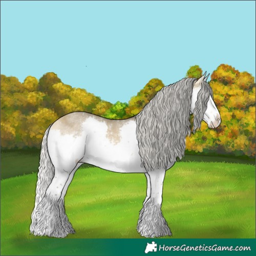 Horse Color:Silver Buckskin Dun Sabino Splash Rabicano 