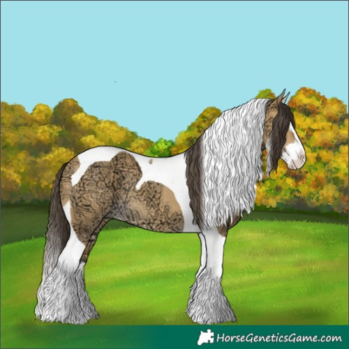 Horse Color:Buckskin Ice Dun Splash Tobiano Rabicano 