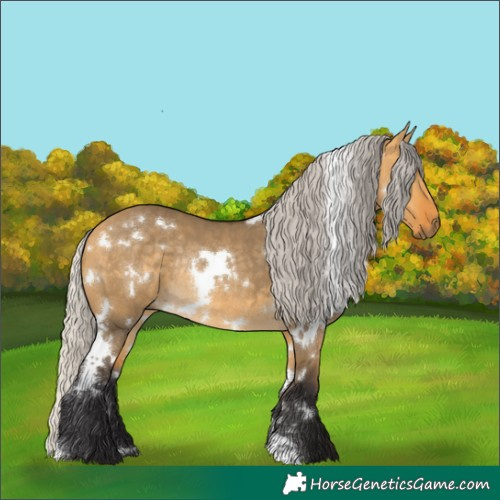 Horse Color:White Spotted Silver Buckskin Dun Rabicano 