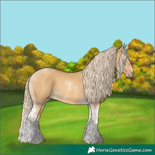 Horse Color:Palomino Dun Tobiano Rabicano 