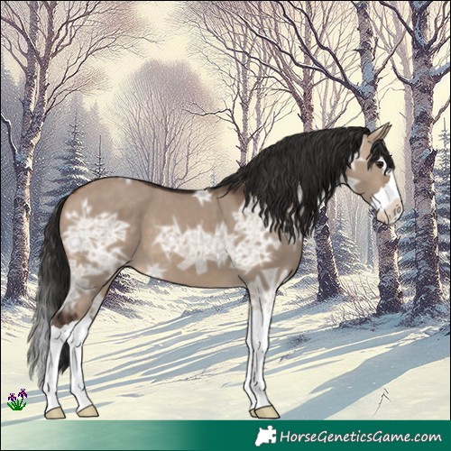 Horse Color:Brown Ice Dun Splash