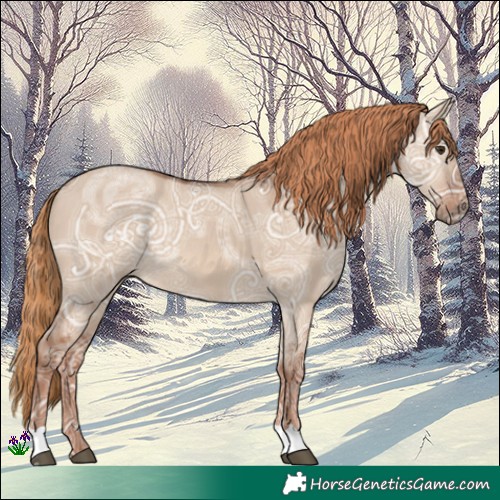 Horse Color:Red Dun Ice Rabicano 
