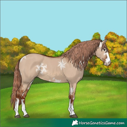 Horse Color:Red Dun Ice