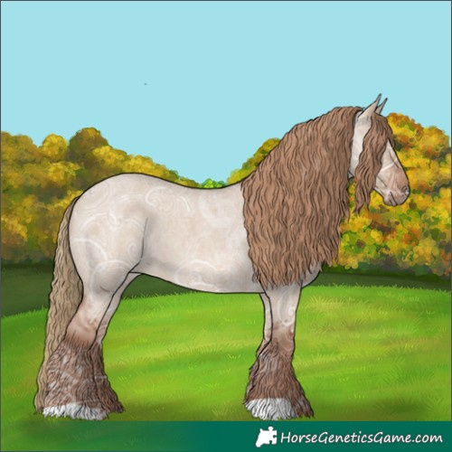 Horse Color:Red Dun Ice Roan Rabicano 