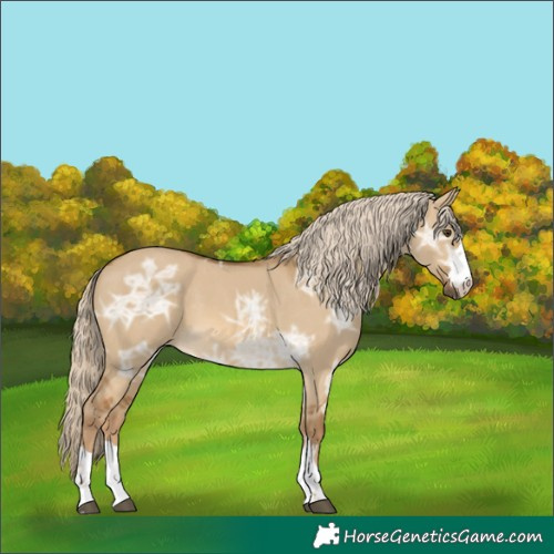 Horse Color:Chocolate Palomino Ice Dun 