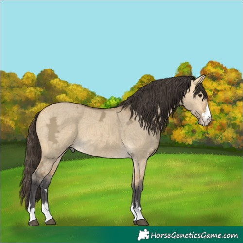 Horse Color:Buckskin Ice Dun
