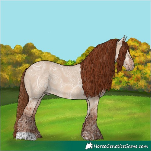 Horse Color:Red Dun Ice Rabicano