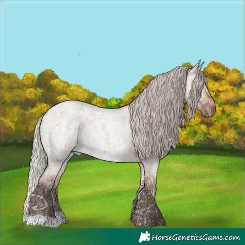 Horse Color:Silver Bay Ice Roan Dun Rabicano