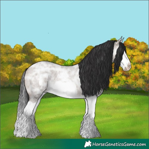 Horse Color:Brown Ice Roan Dun Splash Frame Rabicano 