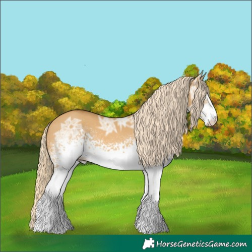 Horse Color:White Spotted Palomino Ice Dun