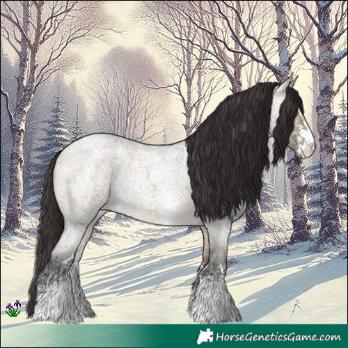 Horse Color:Buckskin Ice Roan Dun Sabino Rabicano