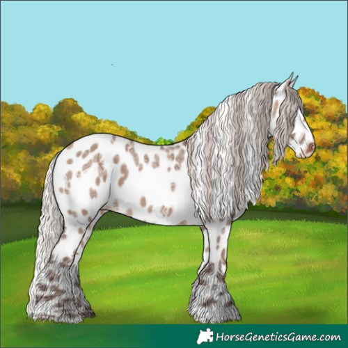 Horse Color:Silver Brown Ice Dun Near Leopard Rabicano 