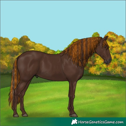 Horse Color:Gray Painted Chestnut 