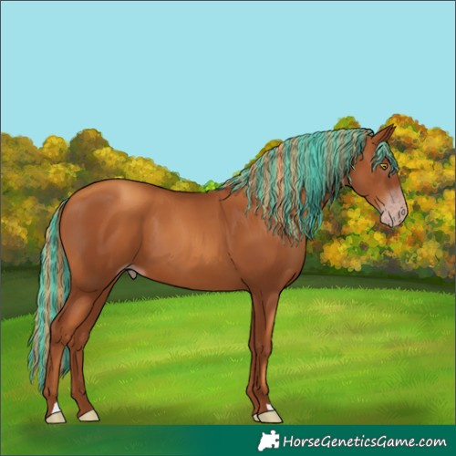 Horse Color:Gray Painted Gold Champagne