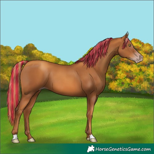 Horse Color:Gray Painted Gold Champagne 