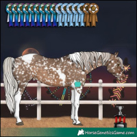 Horse Color:White Spotted Silver Brown Dun Tobiano Snowcap Brindle 