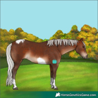 Horse Color:Silver Brown Tobiano