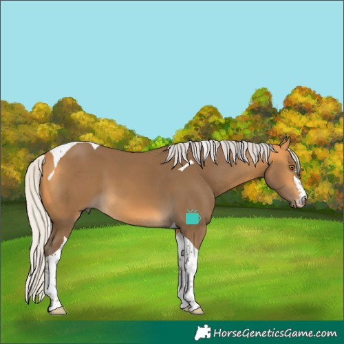 Horse Color:Silver Buckskin Tobiano 