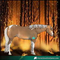 Horse Color:Silver Buckskin Tobiano