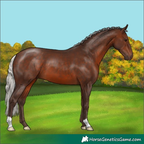 Horse Color:Silver Brown 