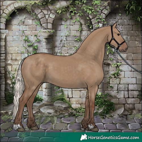 Horse Color:Silver Grullo 