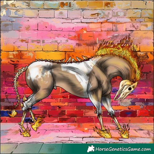 Horse Color:Amber Champagne Tobiano Appaloosa 
