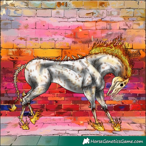 Horse Color:Amber Champagne Appaloosa 