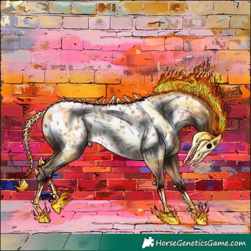 Horse Color:Amber Champagne Appaloosa 