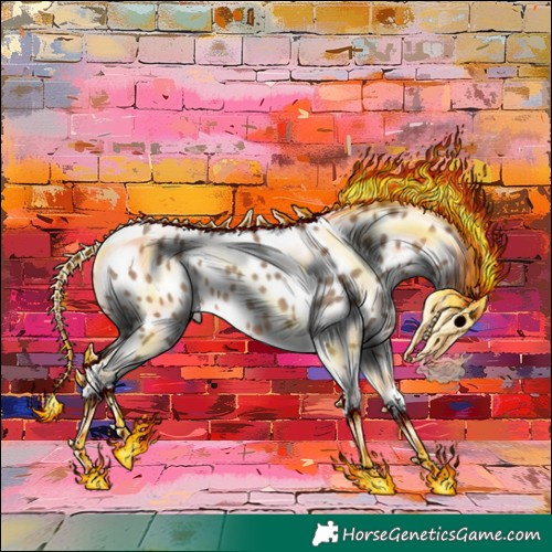 Horse Color:Sable Champagne Tobiano Appaloosa 