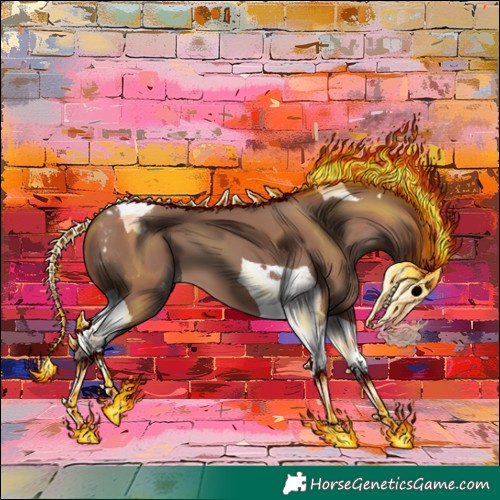 Horse Color:Classic Champagne Tobiano Appaloosa 