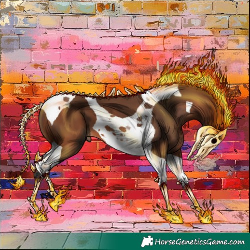 Horse Color:Bay Tobiano 