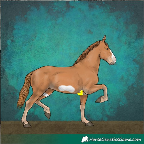 Horse Color:Chestnut Frame