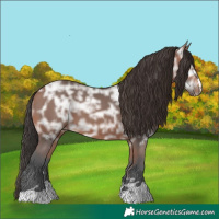 Horse Color:Bay Ice