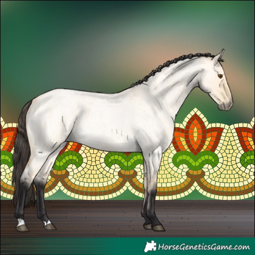 Horse Color:Buckskin Roan Dun 