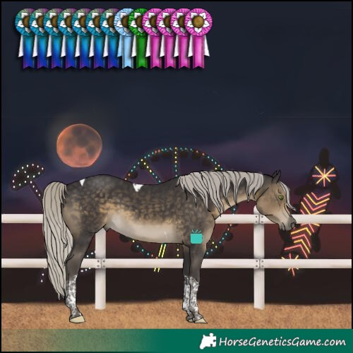 Horse Color:Silver Smoky Black Tobiano 