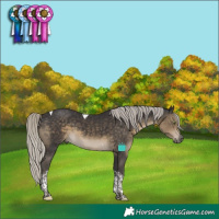 Horse Color:Silver Smoky Black Tobiano