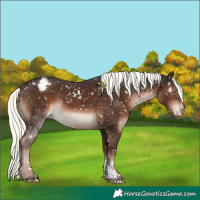 Horse Color:White Spotted Liver Chestnut Mushroom Sabino Snowcap 