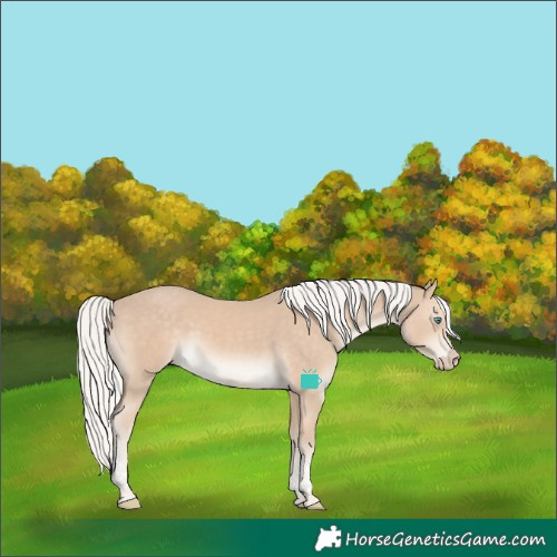 Horse Color:Silver Smoky Creme Tobiano 